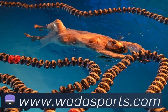 体育下注APP 封面图