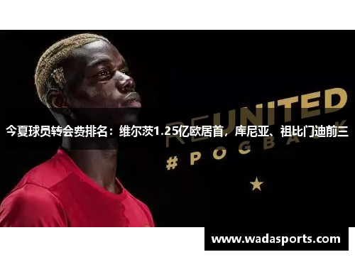 今夏球员转会费排名：维尔茨1.25亿欧居首，库尼亚、祖比门迪前三